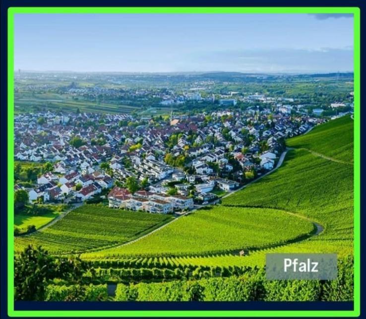 Neustadt an der Weinstraße Ferienwohnung Forest & Wein חדר תמונה