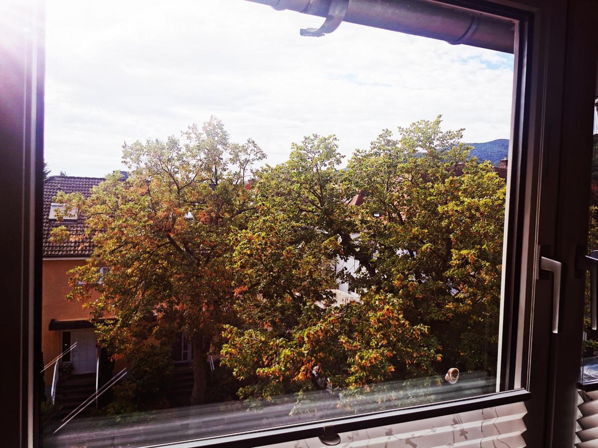 Neustadt an der Weinstraße Ferienwohnung Forest & Wein מראה חיצוני תמונה